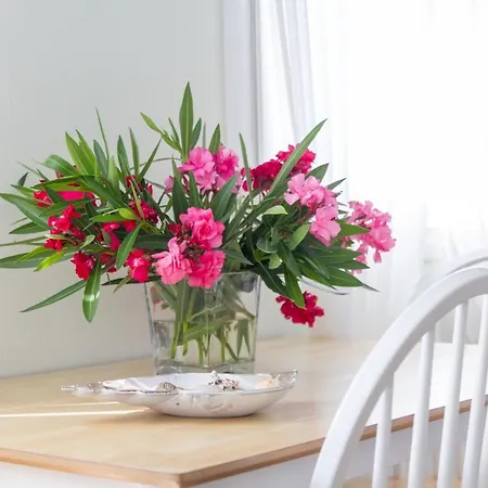 Hestia Harmony Living Villa *