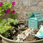 Hestia Harmony Living