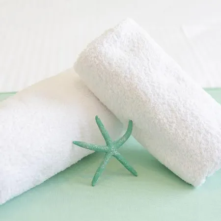 Hestia Harmony Living